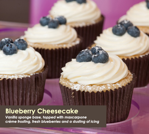 Blueberry Cheesecake