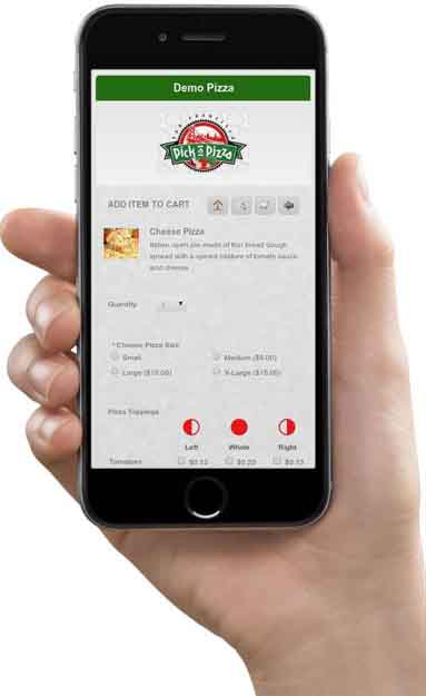 Online Ordering System Cost